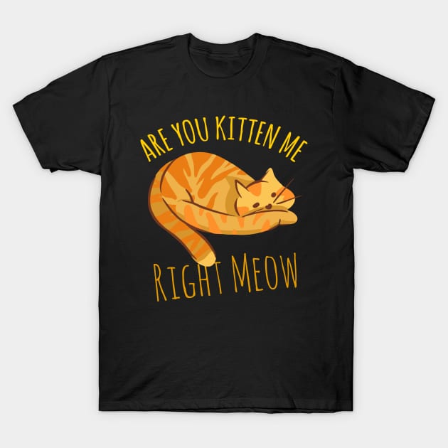 Are You Kitten Me Right Meow T-Shirt by Sunil Belidon